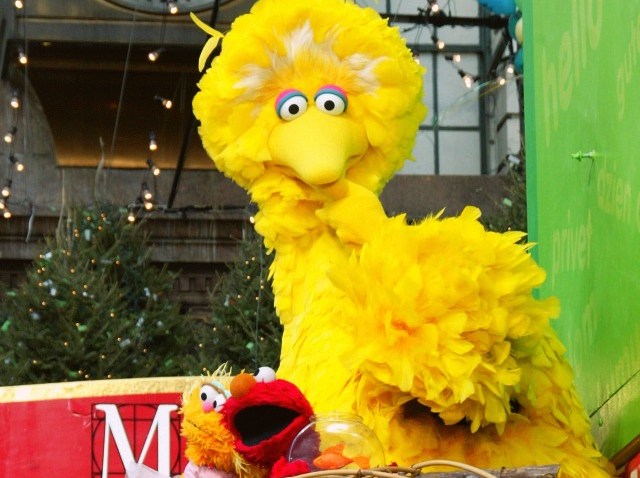 bigbird2-3-11