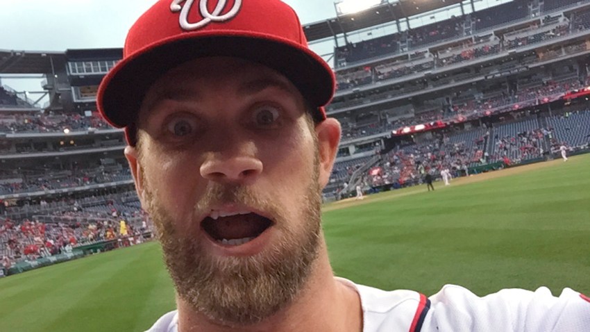 Nationals Harper Selfie Basetball