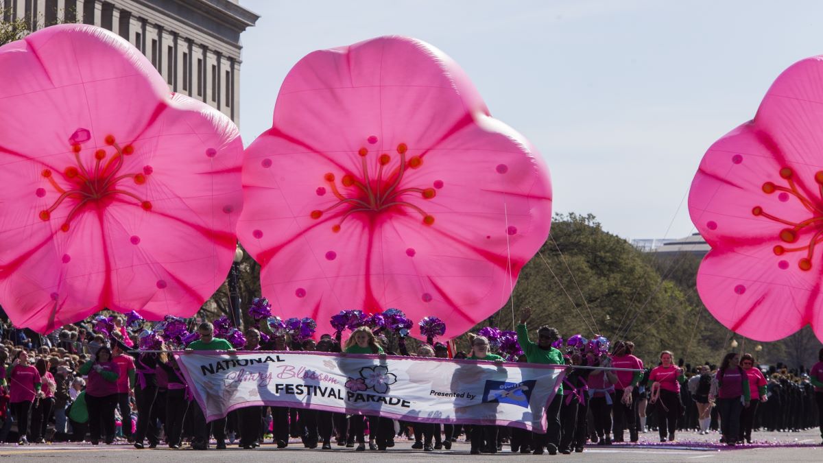 National Cherry Blossom Fest 2023 Grand Marshals, Art Revealed NBC4