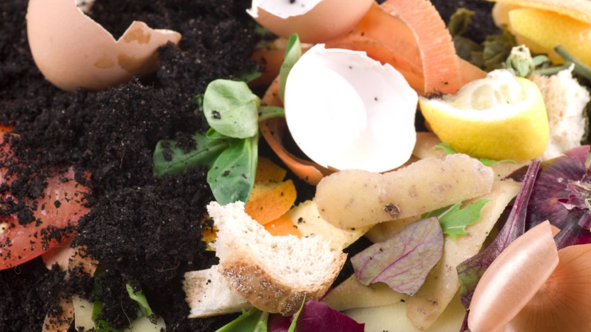 compost-shutterstock_25833856