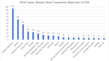 dcm_cases_-_breeds_most_frequently_reported_to_fda
