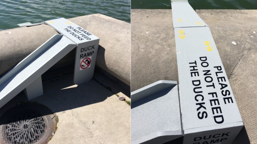duck ramps1