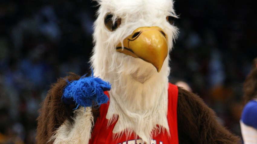 eagle3