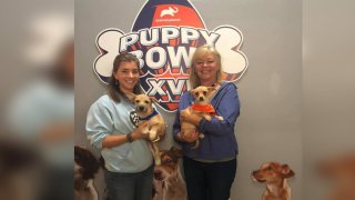 Emily Murrell and her mom Debbie Jellick volunteered to bring the two dogs to Puppy Bowl.