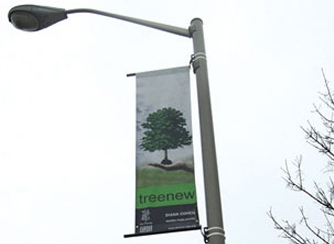 forest of trees