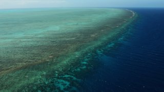 great barrier reef