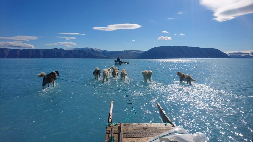 greenland ice melt arctic