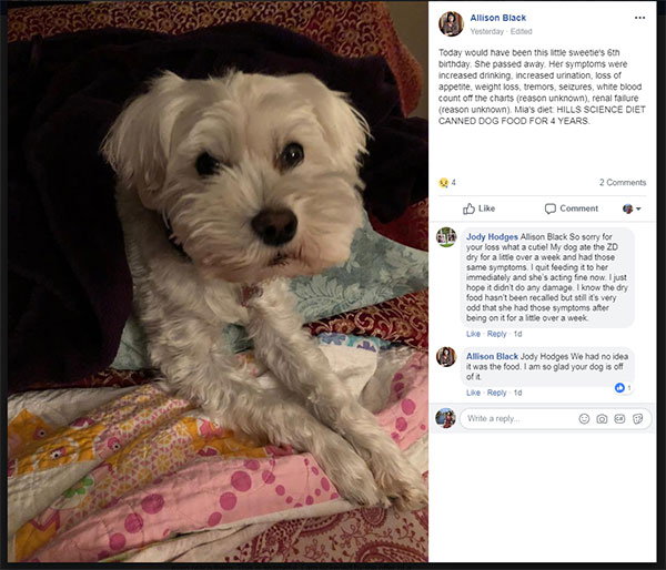 Pet Owners Say Their Dogs Are Sick, Dying After Eating Recalled Hill’s