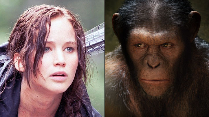 hunger-apes