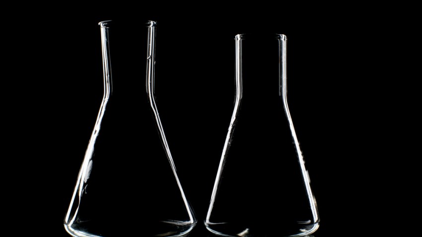 lab-shutterstock_70791517
