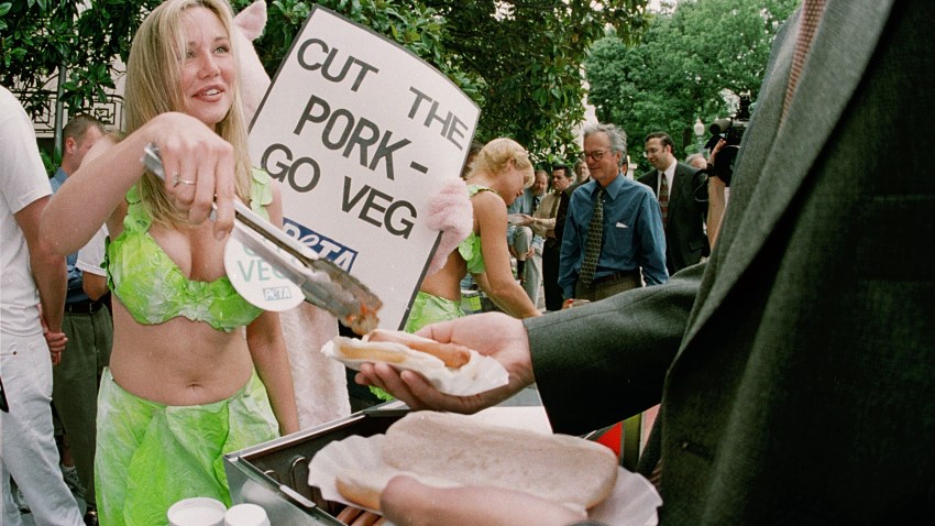 37340202peta_20010628_18326.jpg