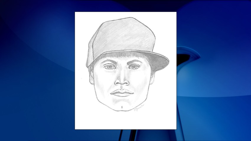 loudoun sketch