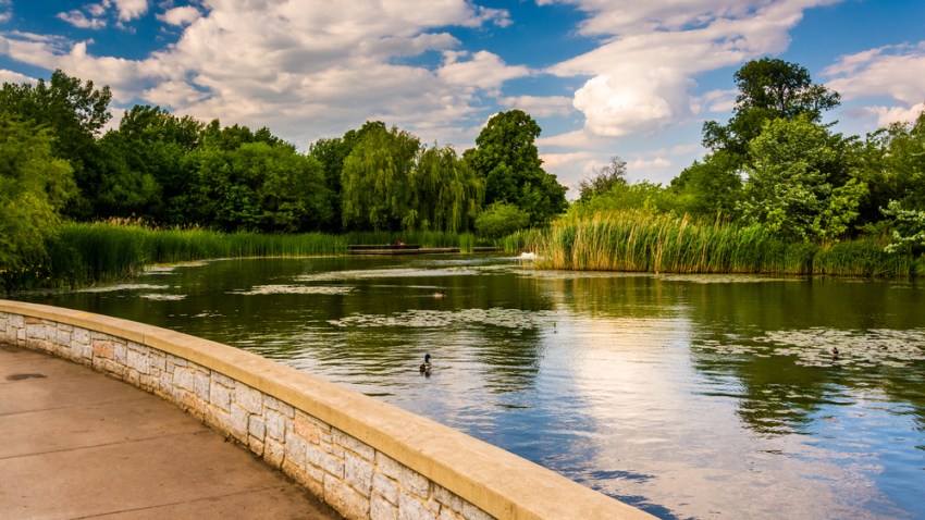 marlandparkse