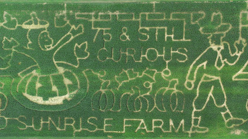 md sunrise farm maze