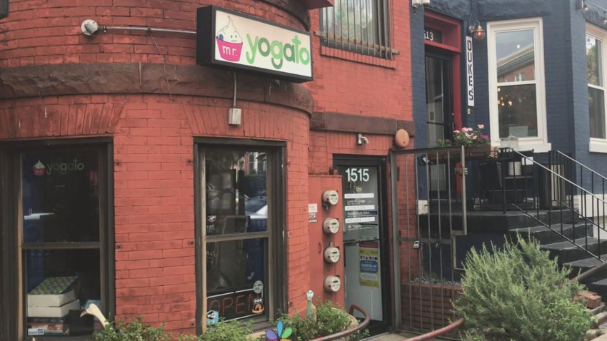mr yogato