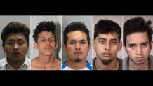 ms-13-alleged-gang-members