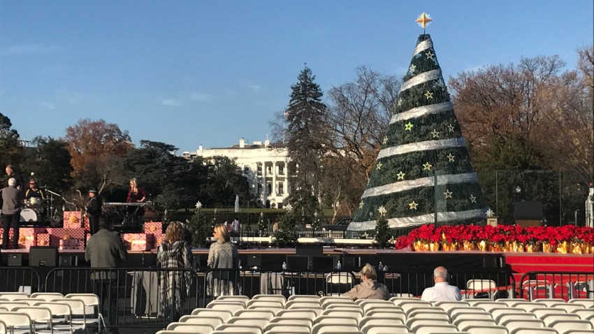 national christmas tree 2017