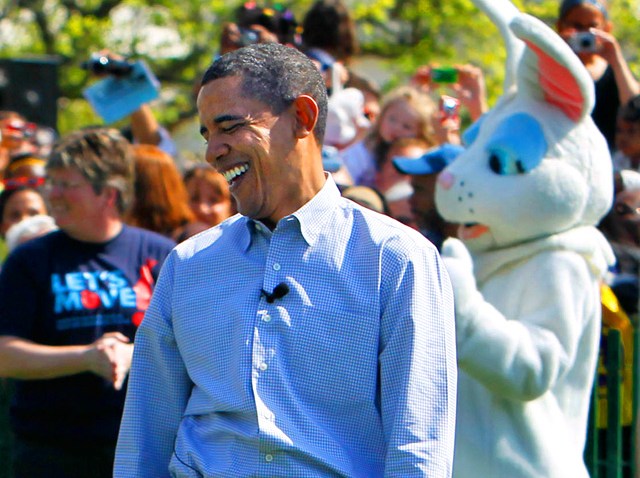 obama bunny