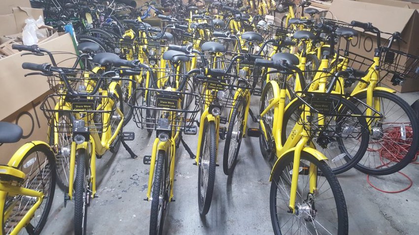 ofo bikes in velocity warehouse