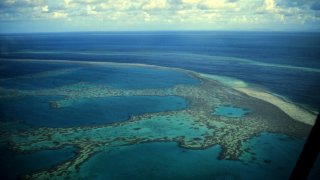 great barrier reef