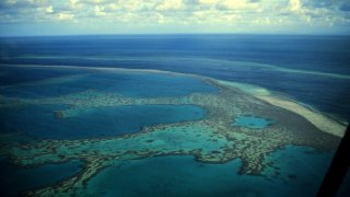 great barrier reef