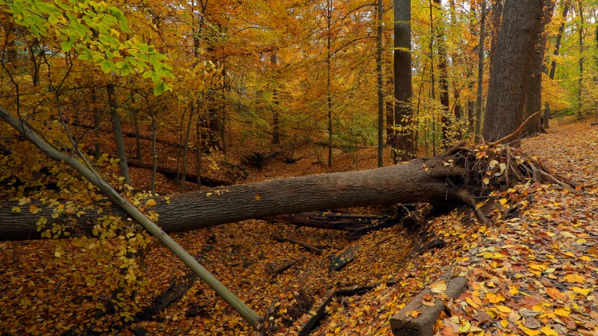 rock creek park