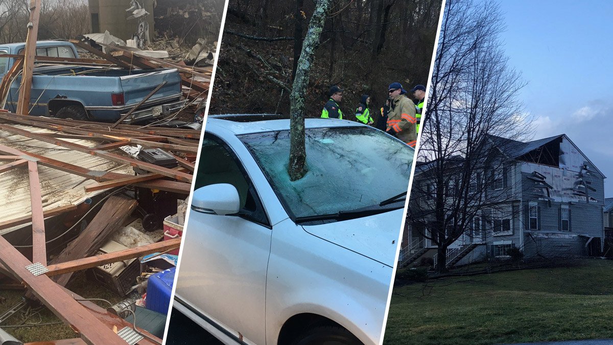Photos: Storm Damage Across DC Area After Tornado Warning – NBC4 Washington