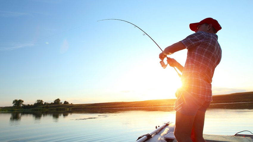 shutterstock_151047842