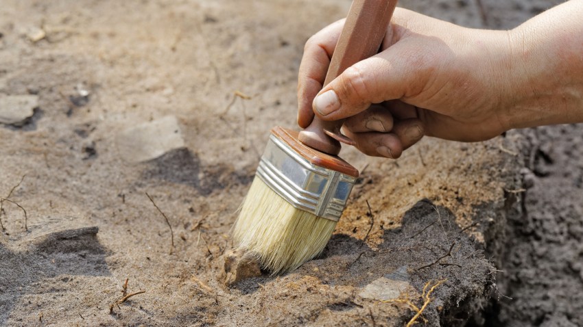 shutterstock_178161950