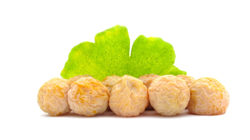 ginko tree fruit