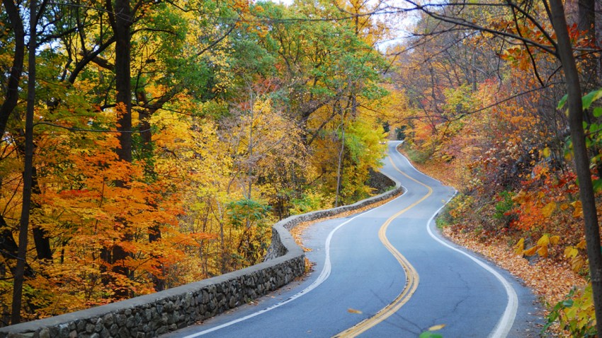 shutterstock_64518730