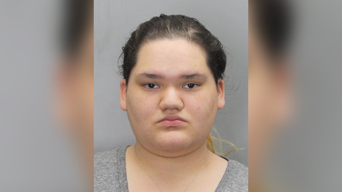 Woman Accused of Stabbing Brother to Death in Fairfax County – NBC4 ...