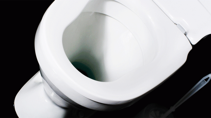 toilet-seat