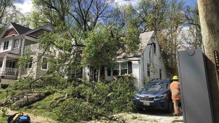 tree fallen onto home