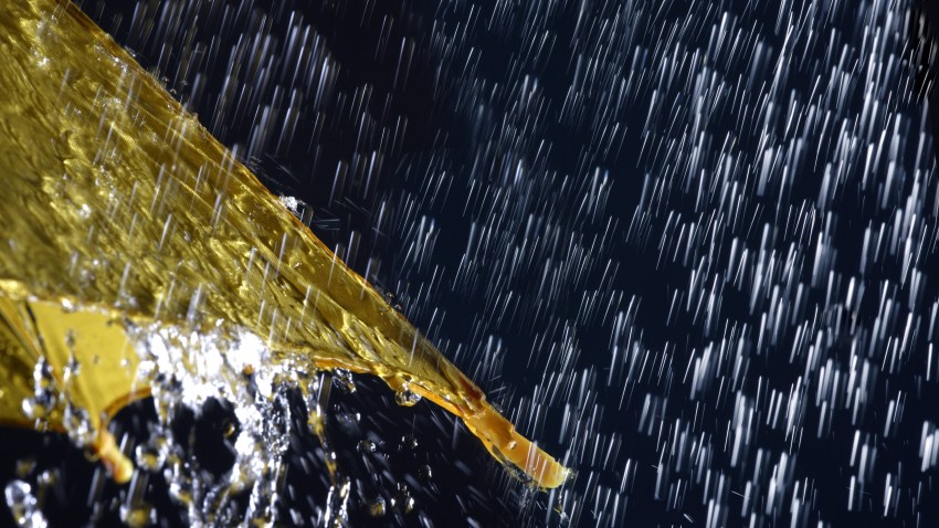 umbrella in the rain