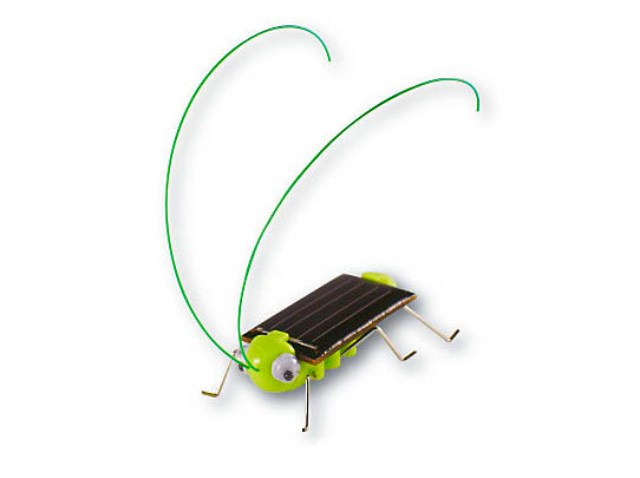 wantthis1020_1