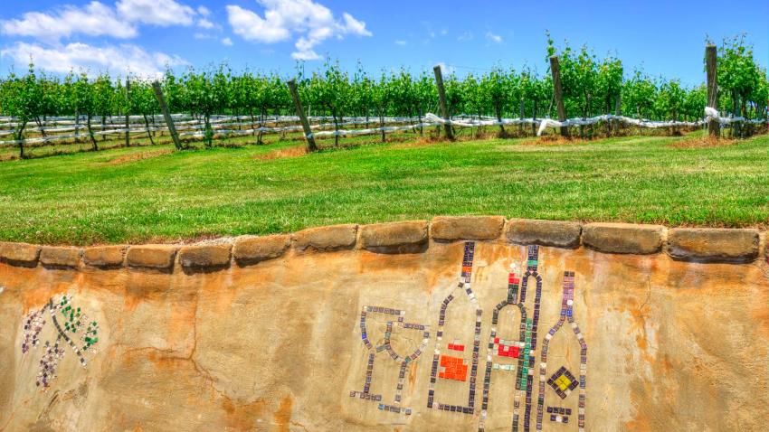 wineryrvv2