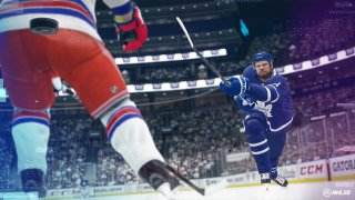 NHL simulation