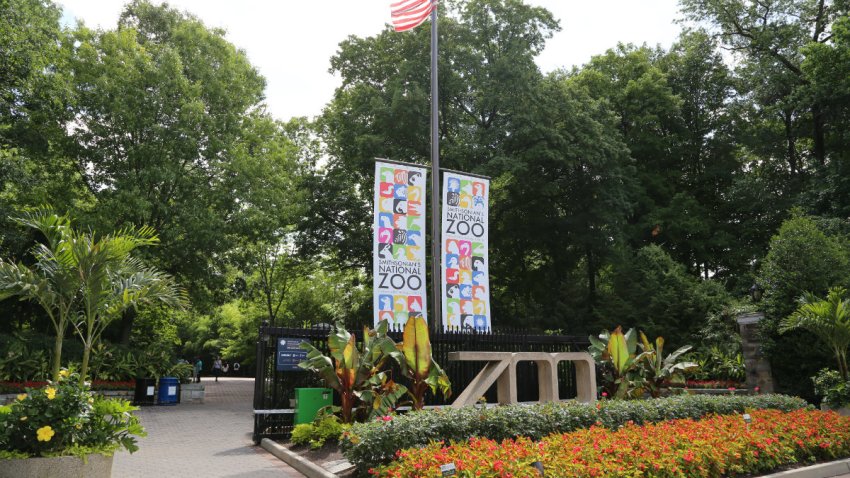 zoo_fencing_entrances