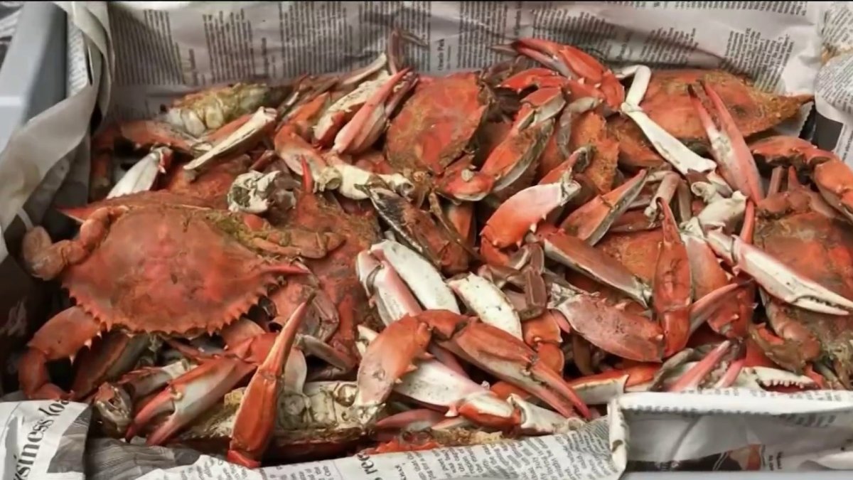 Prices, Demand for Maryland Crabs Soar During the Pandemic NBC4