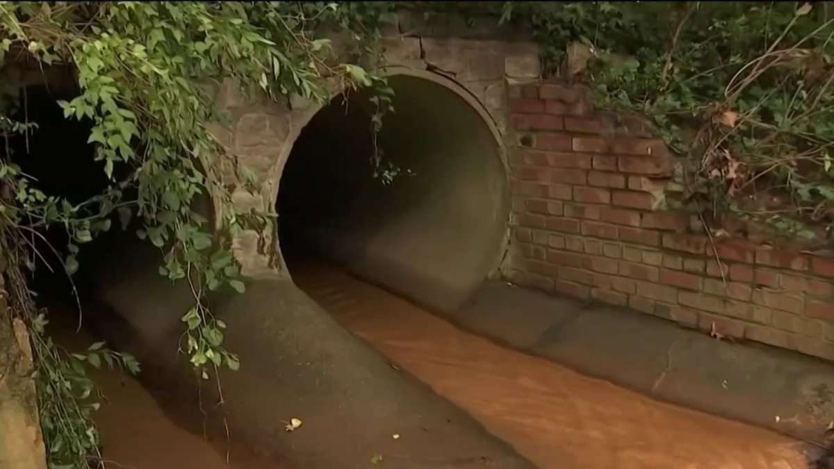 Residents Want Changes After Alexandria Neighborhood Floods Again