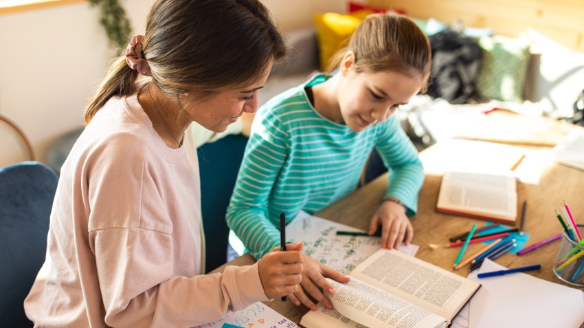 Female teacher helping a teenage girl with private tutoring