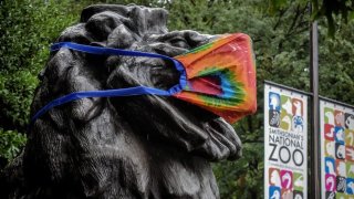 WASHINGTON, DC – July 24:
One of the bronze lions that flanks the front gate is definitely masked in the face of COVID-19 as the National Zoo reopens to the public in Washington, DC on July 24.
(Photo by Bill O’Leary/The Washington Post via Getty Images)