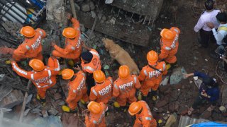 Rescuers with the help of a sniffer dog look for survivors after a residential building collapsed in Bhiwandi in Thane district, a suburb of Mumbai, India