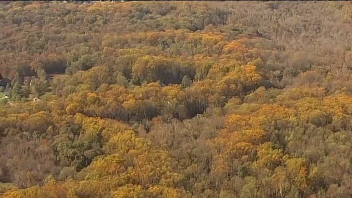 Climate Change Impacts Fall Foliage - NBC4 Washington