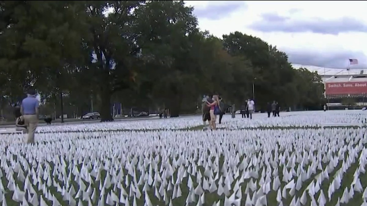  Incredible And Horrifying Growing DC Art Exhibit Represents Lives 