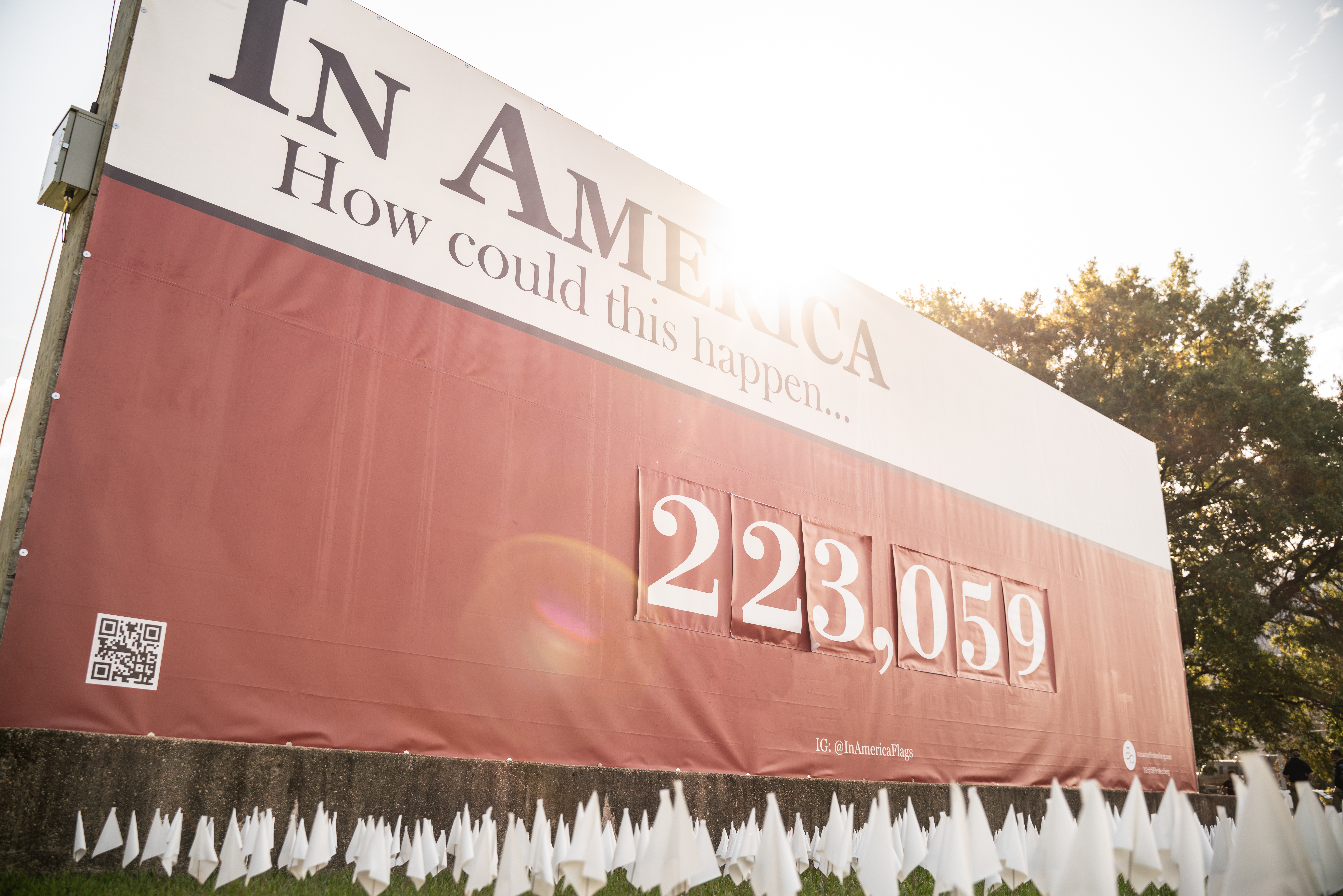 Photos: Artist Installs More Than 200,000 Flags in DC, Symbolizing ...