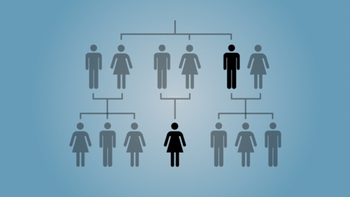 How Genealogy Helps Crack Cold Cases NBC4 Washington