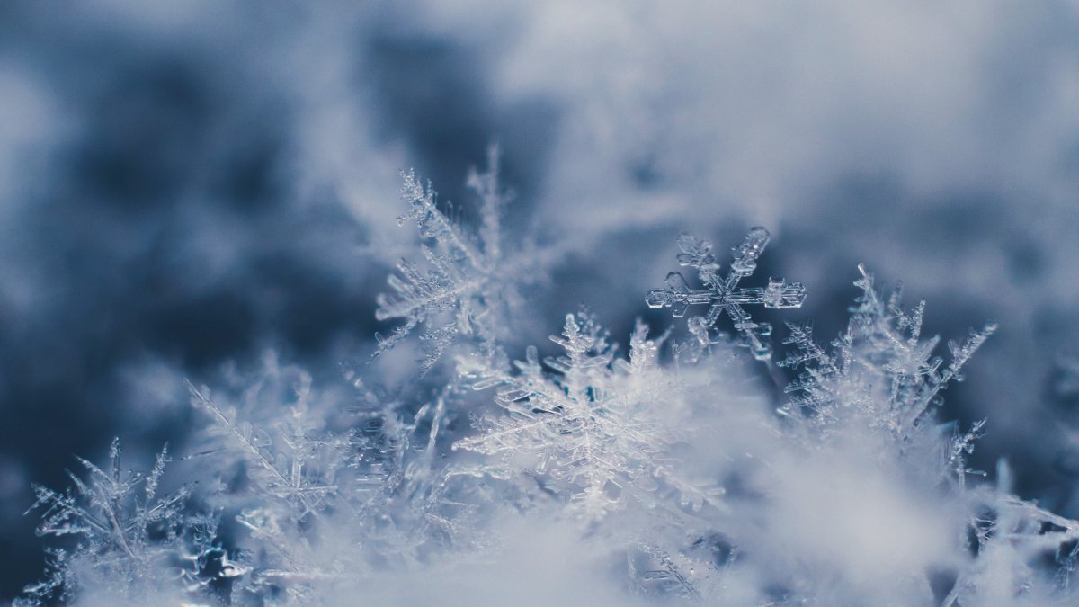 Washington DC Weather: How Much Snow Is Forecast in DC, MD, VA? – NBC4 Washington - Vimarsana News