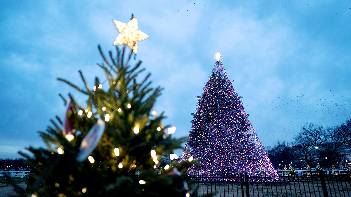 Christmas Tree Lighting 2021 Biola 99th Annual National Christmas Tree Lighting Set For December Nbc4 Washington Christmas Tree Lighting 2021 Biola 99th Annual National Christmas Tree Lighting Set For December Nbc4 Washington